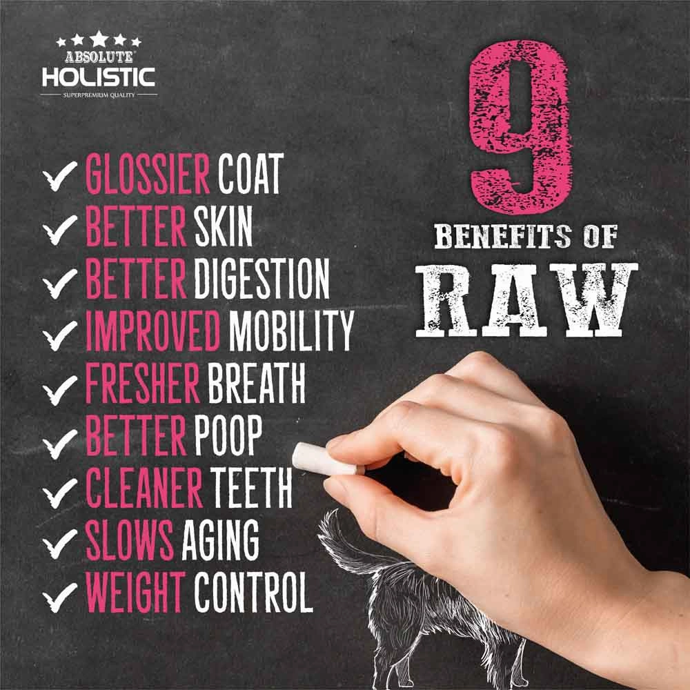 Absolute Holistic Raw in the Bag Beef Bites Complete Freeze Dried Dog Food 14oz