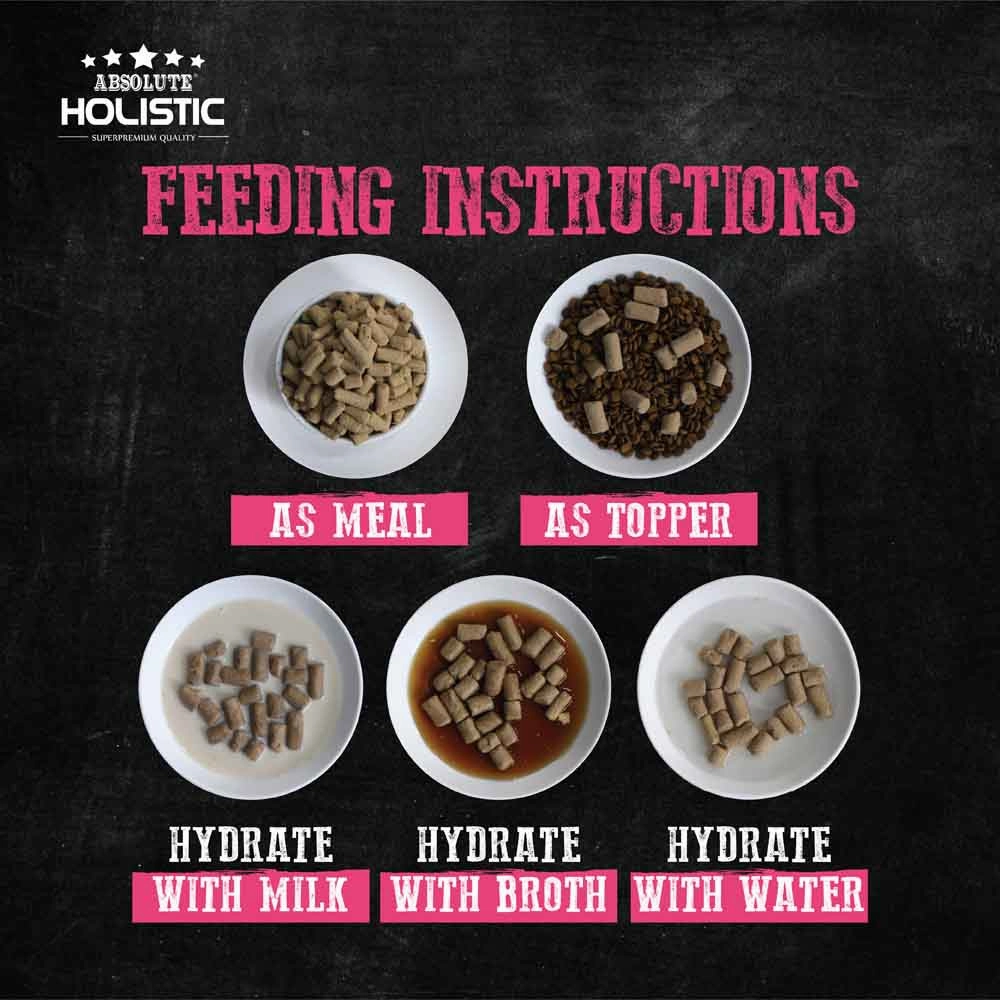 Absolute Holistic Raw in the Bag Salmon Bites Complete Freeze Dried Dog Food 14oz