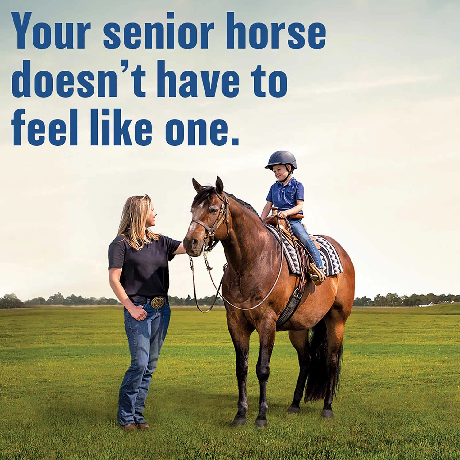 Absorbine Bute-Less Pellets Comfort & Recovery Horse Supplement