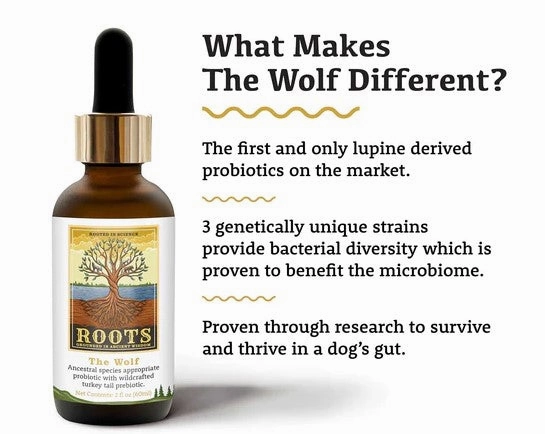 Adored Beast Apothecary Roots - Grounded in Ancient Wisdom - The Wolf | Species Appropriate Probiotic 60mL