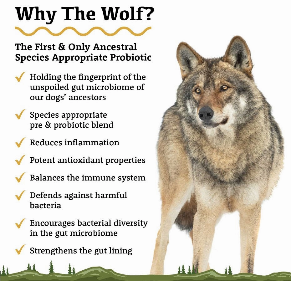 Adored Beast Apothecary Roots - Grounded in Ancient Wisdom - The Wolf | Species Appropriate Probiotic 60mL