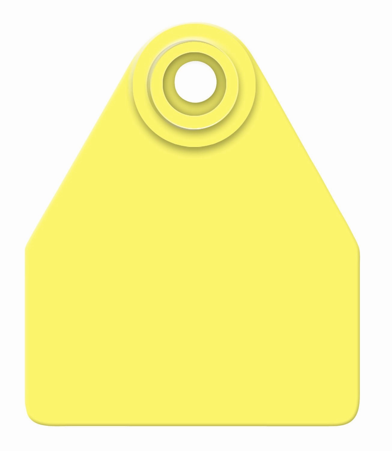 Allflex Global Blank 2-Piece Tags, 25 ct