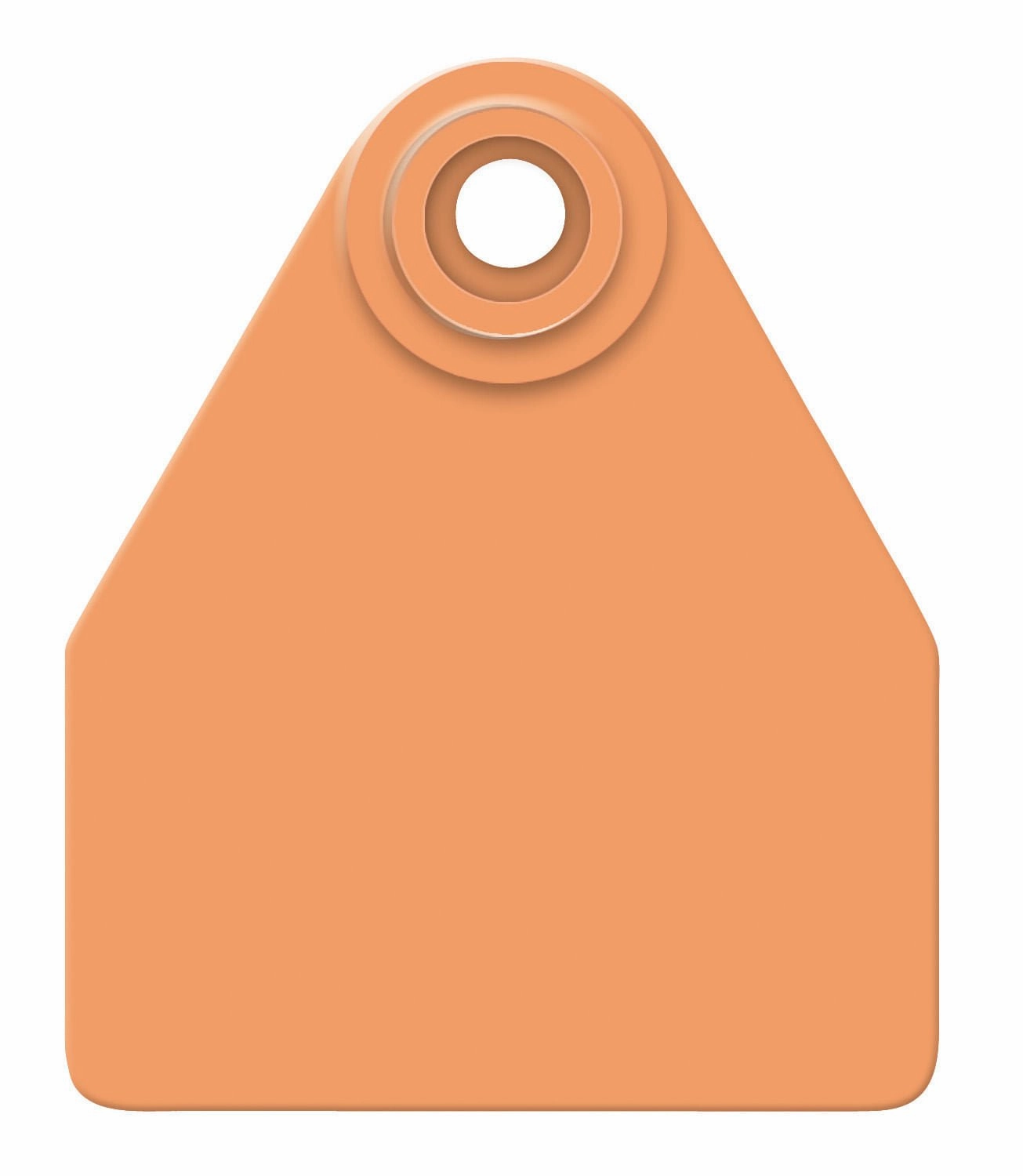 Allflex Global Blank 2-Piece Tags, 25 ct