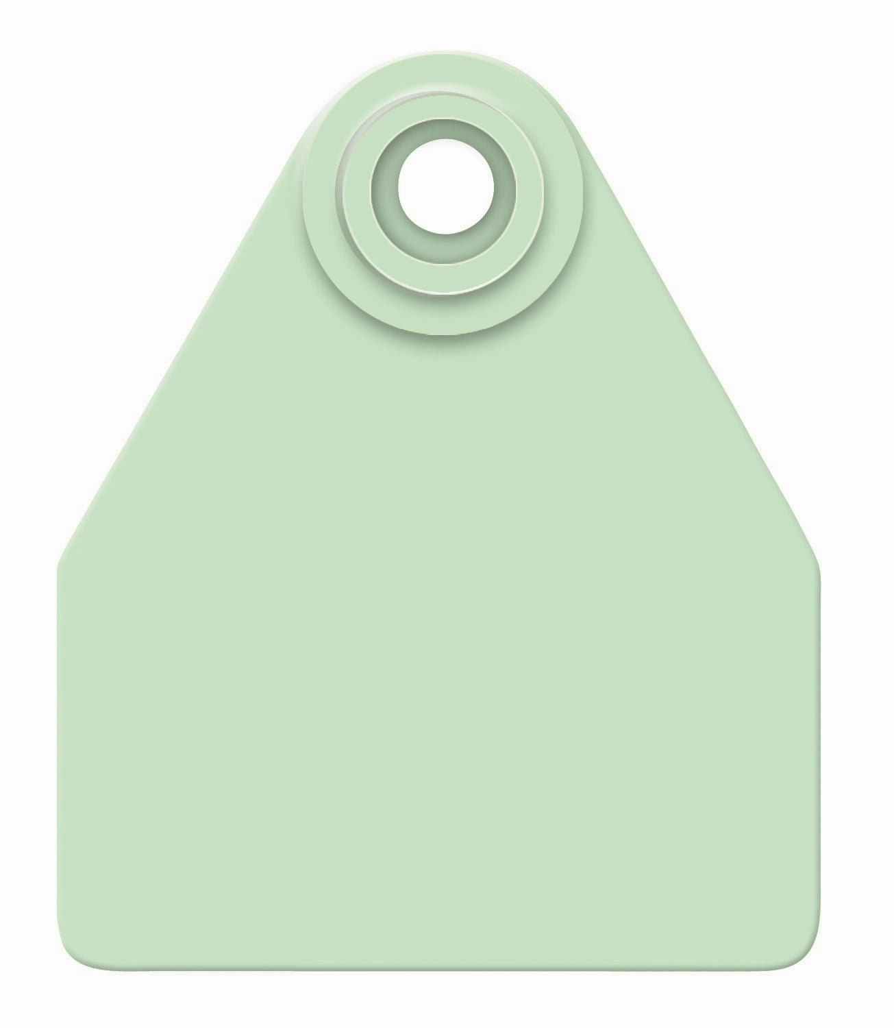 Allflex Global Blank 2-Piece Tags, 25 ct