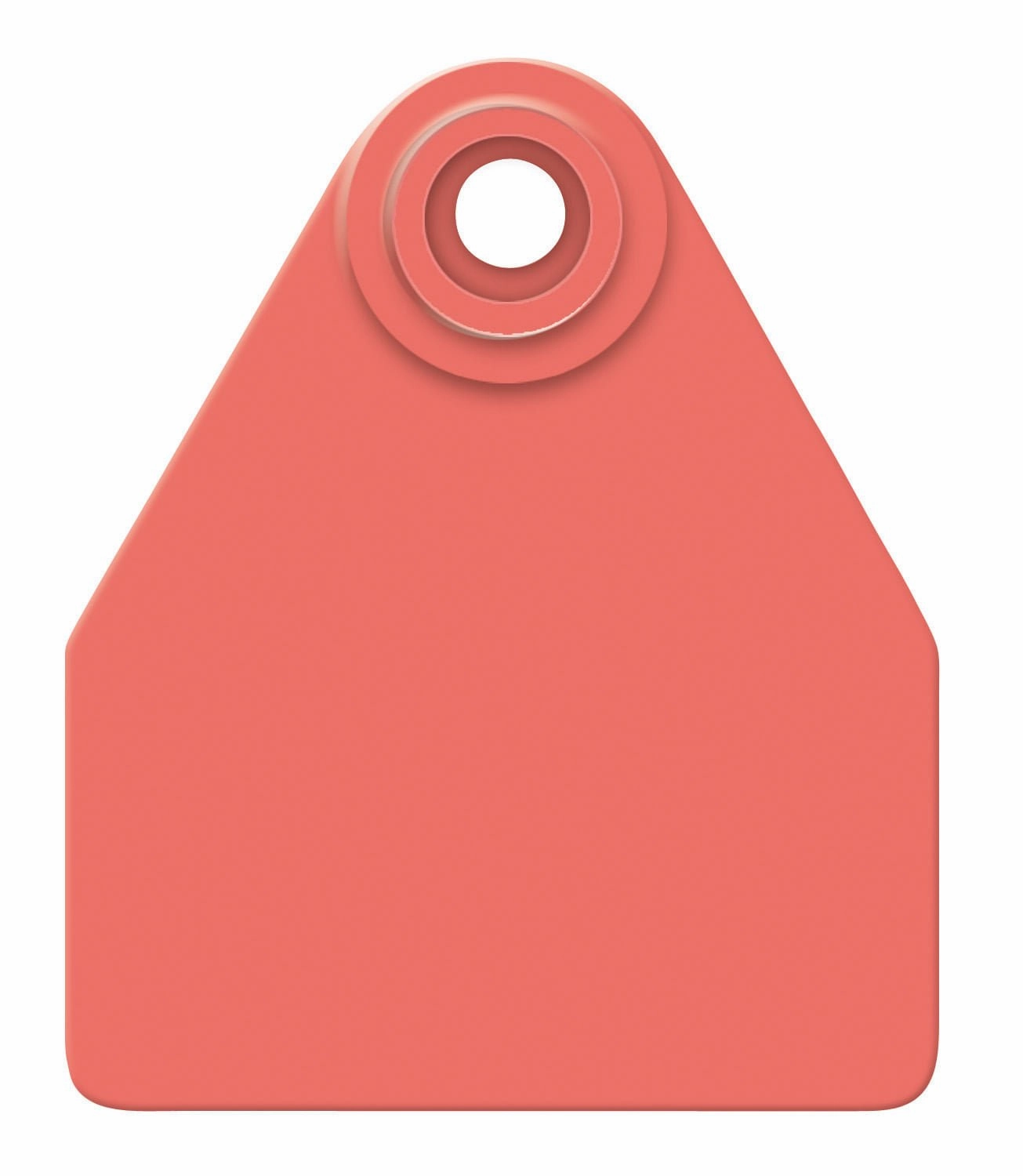 Allflex Global Blank 2-Piece Tags, 25 ct
