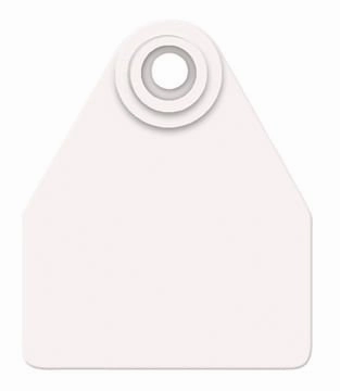 Allflex Global Blank 2-Piece Tags, 25 ct