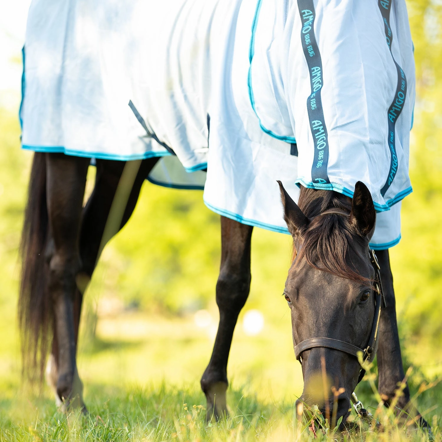 Amigo Bug Rug Horse Fly Sheet