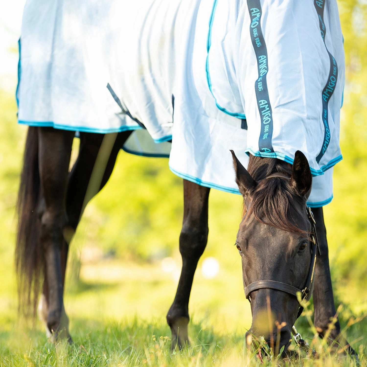 Amigo Bug Rug Horse Fly Sheet