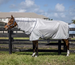 Amigo Bug Rug Plus Fly Sheet