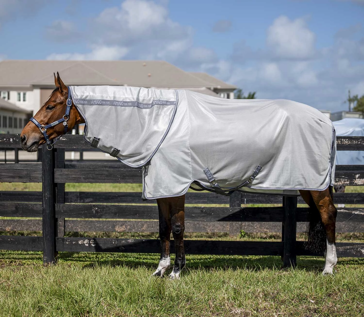 Amigo Bug Rug Plus Fly Sheet