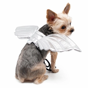 Dog Special Occasion Wear