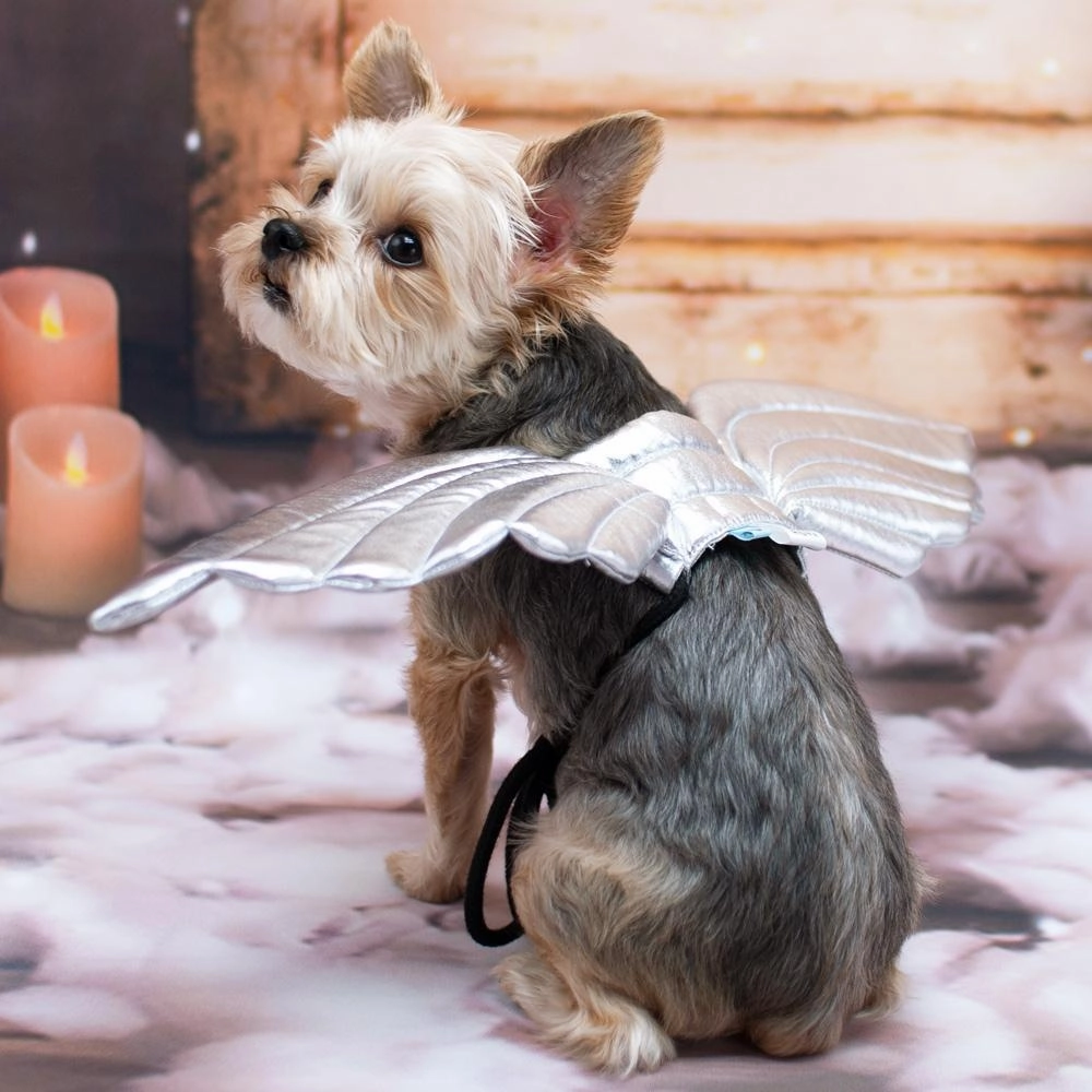 Angel Wings Dog Costume