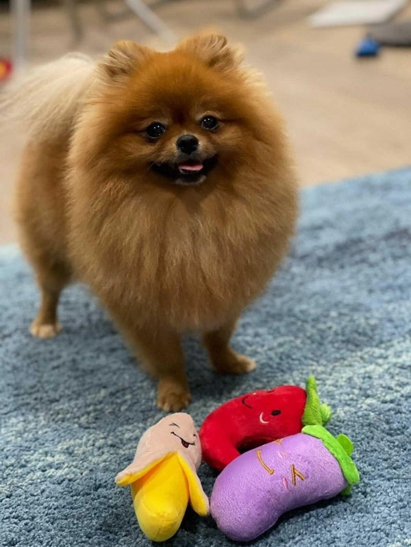 Banana Squeaker Dog Toy
