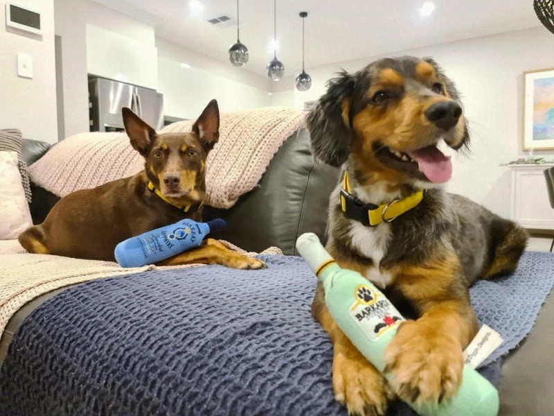 Barkardi Superior Rum Dog Toy