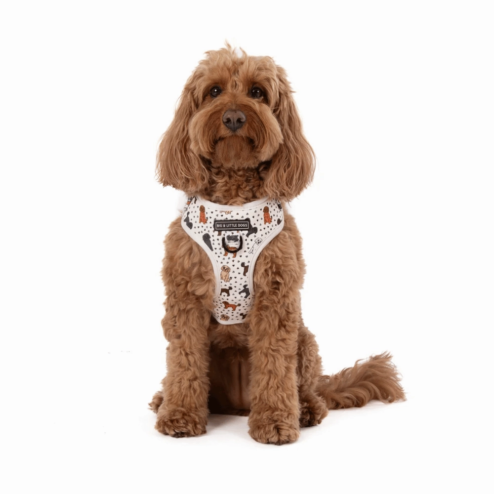 Big & Little Dogs Adjustable Harness: Oodles of Love