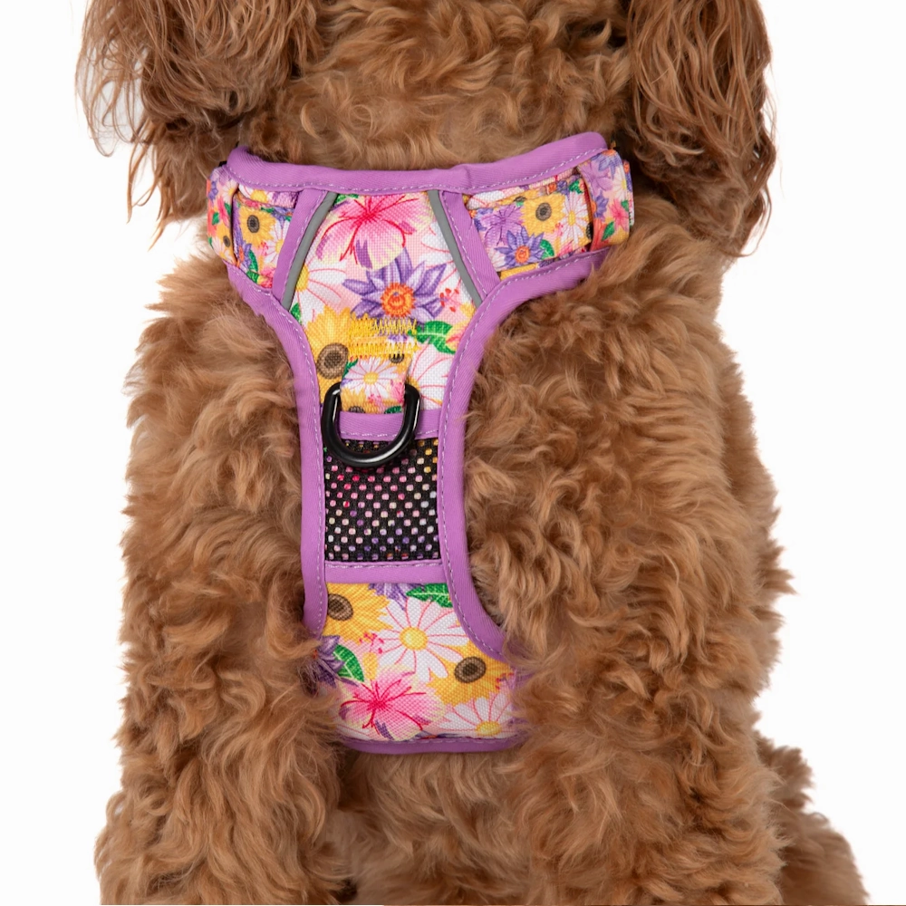 Big & Little Dogs All Rounder Harness: Spring Fling