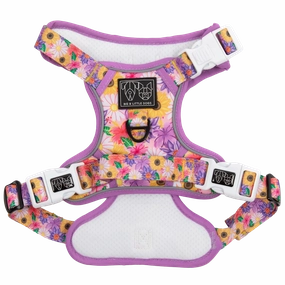 Big & Little Dogs All Rounder Harness: Spring Fling