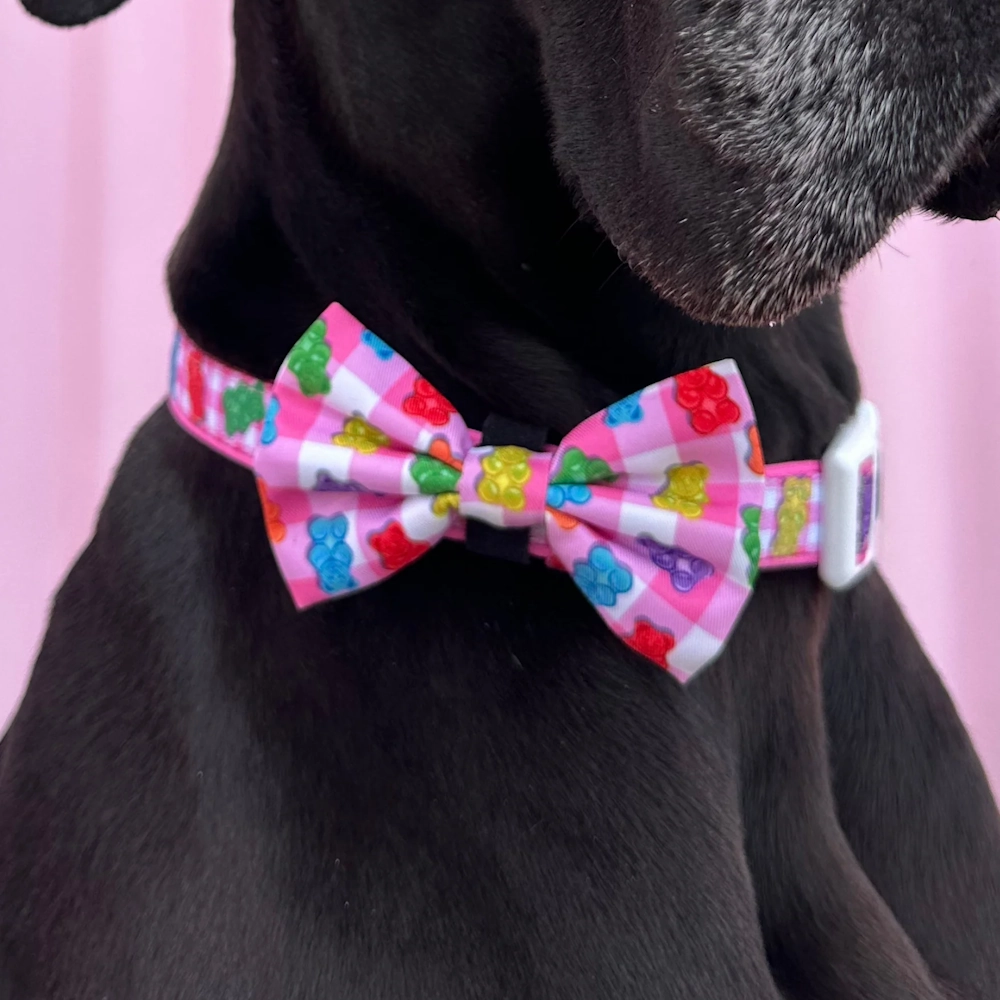Big & Little Dogs Beary Sweet Collar & Bow Tie