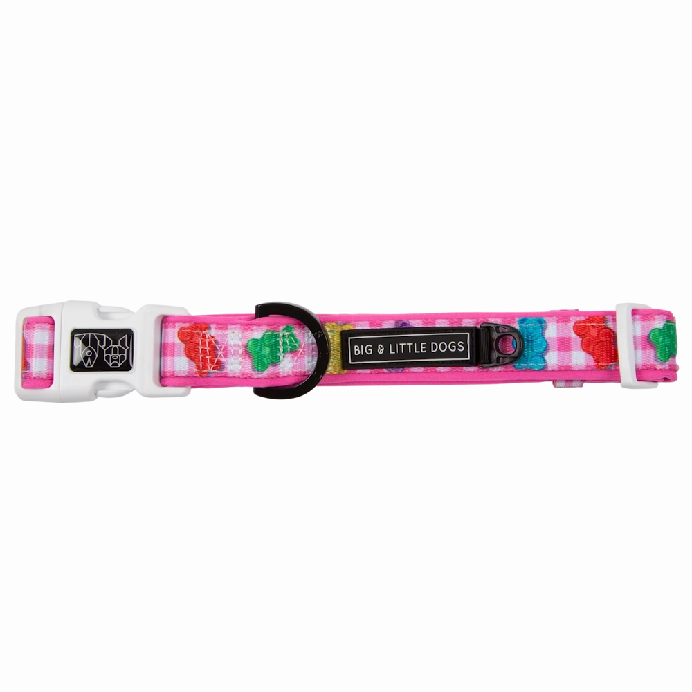 Big & Little Dogs Beary Sweet Collar & Bow Tie