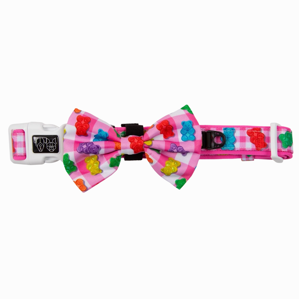 Big & Little Dogs Beary Sweet Collar & Bow Tie