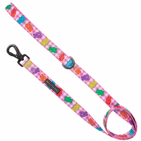 Big & Little Dogs Beary Sweet Dog Leash