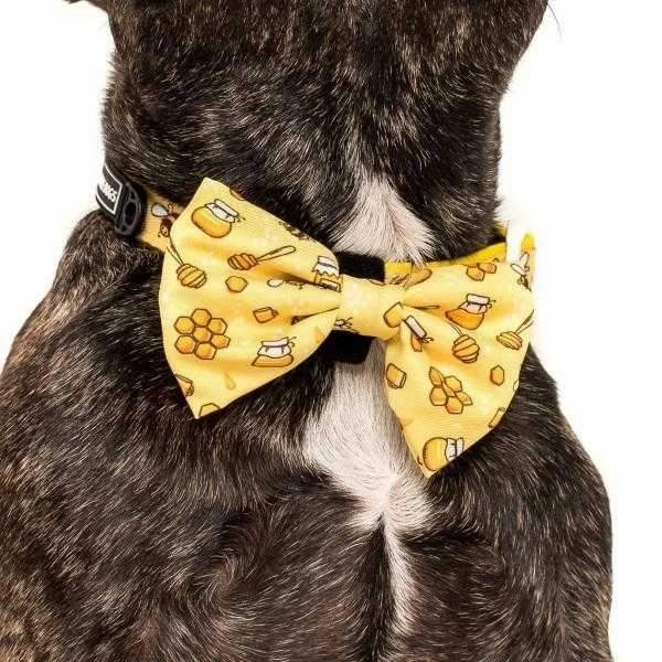 Big & Little Dogs Bee-Hiving Collar & Bow Tie