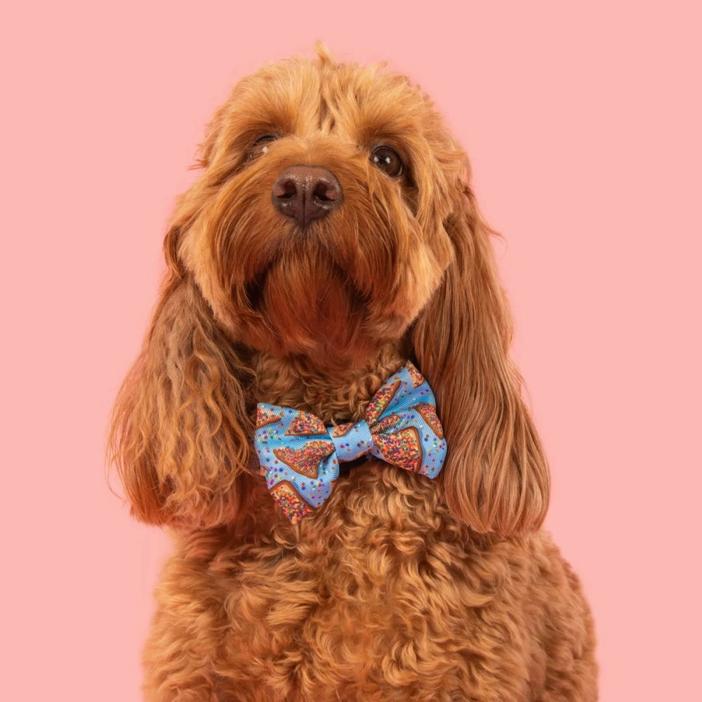 Big & Little Dogs Blue Fairy Bread Collar & Bow Tie