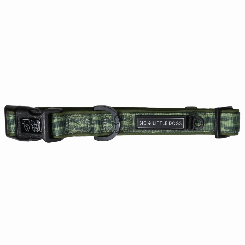 Big & Little Dogs Camouflaged Collar & Bow Tie