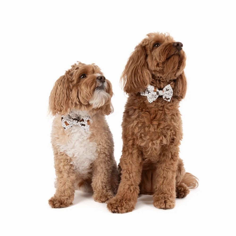 Big & Little Dogs Collar & Bow Tie: Oodles of Love