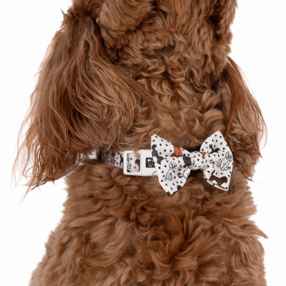 Big & Little Dogs Collar & Bow Tie: Oodles of Love