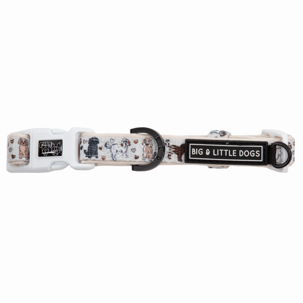 Big & Little Dogs Collar & Bow Tie: Oodles of Love