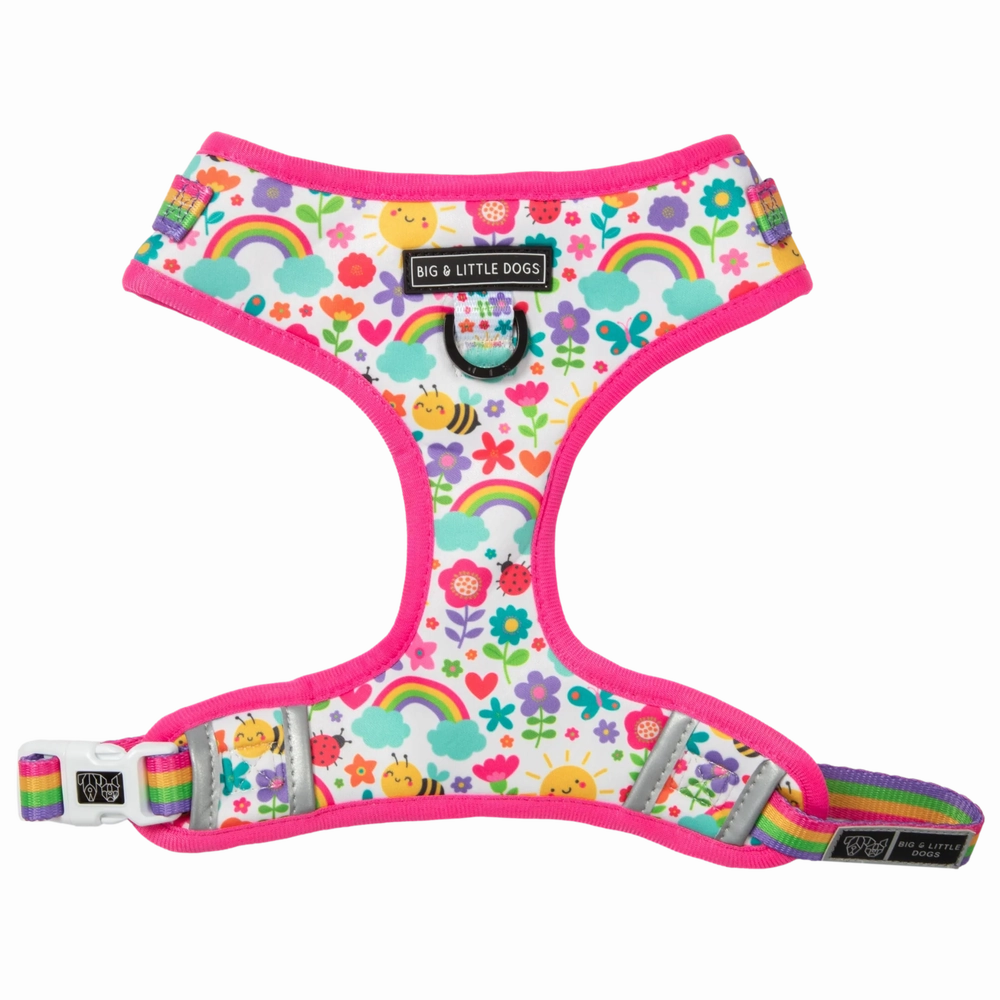 Big & Little Dogs Follow The Rainbow Adjustable Harness