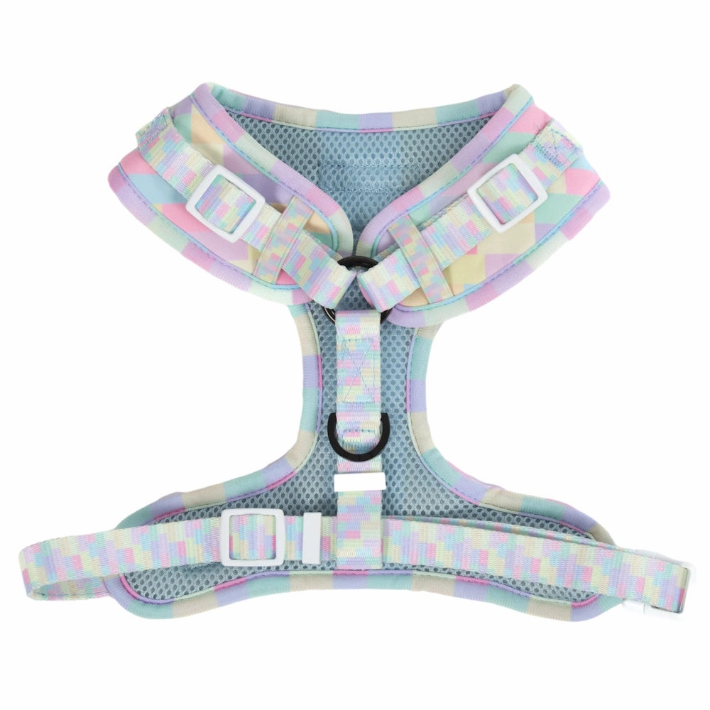 Big & Little Dogs Gelato Adjustable Harness