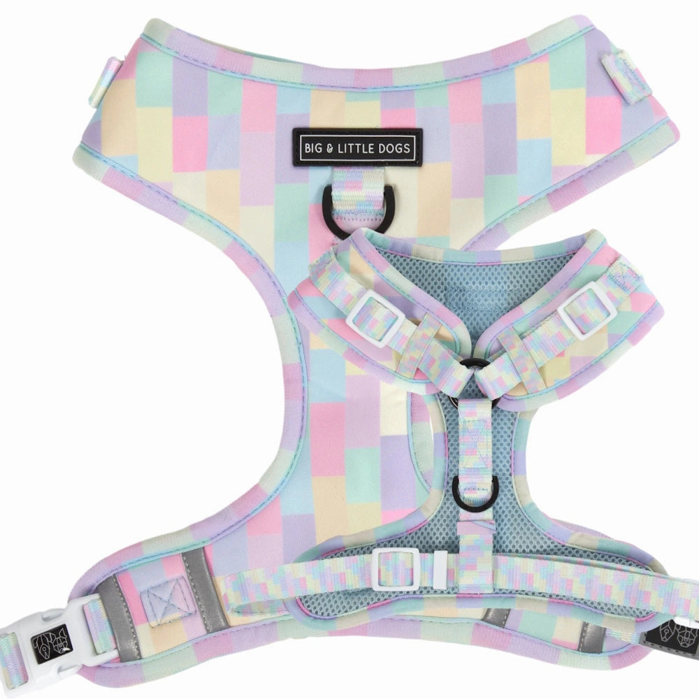 Big & Little Dogs Gelato Adjustable Harness
