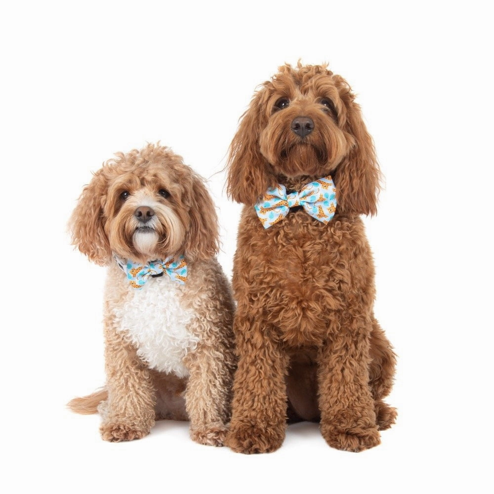 Big & Little Dogs Go Get Em' Tiger Collar & Bow Tie