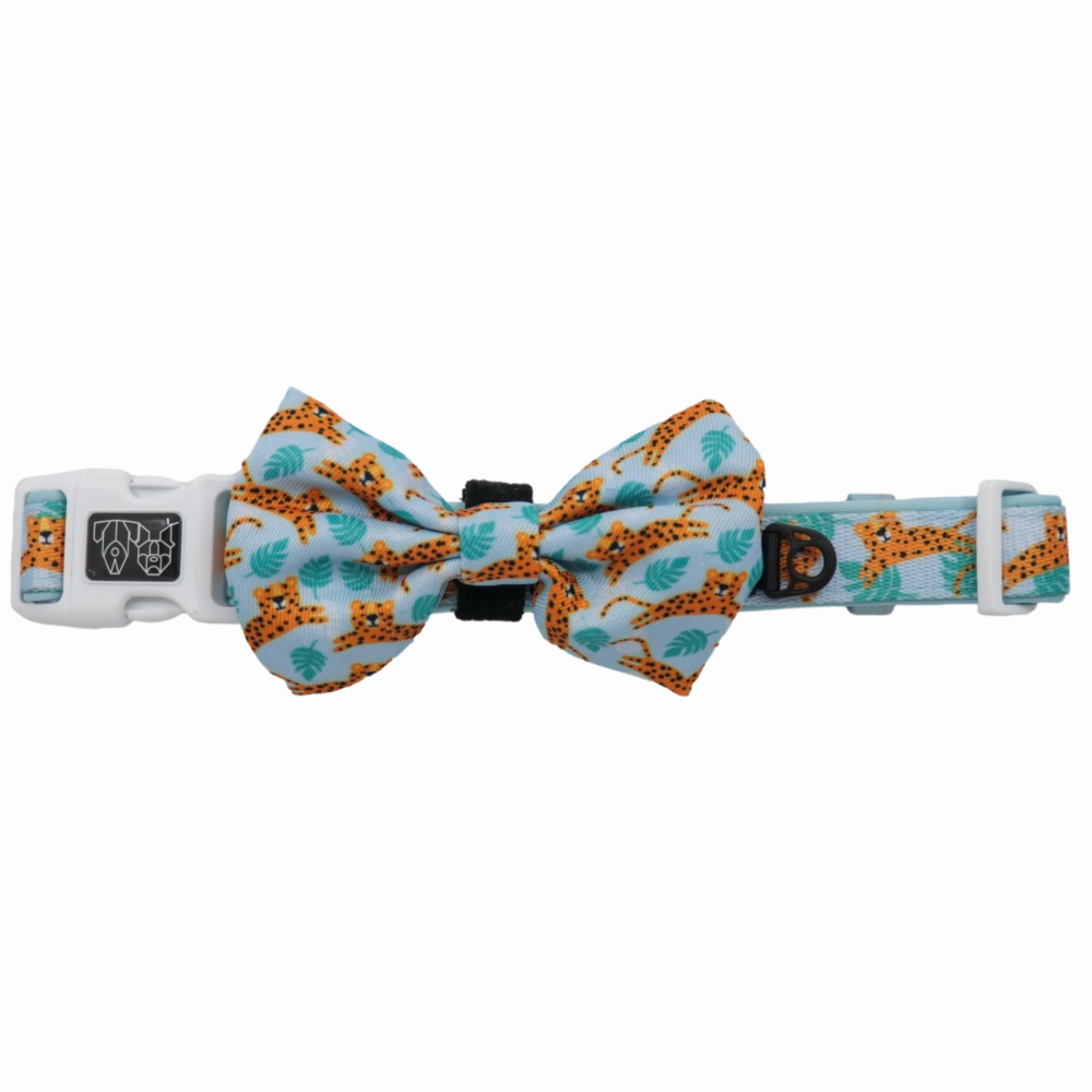 Big & Little Dogs Go Get Em' Tiger Collar & Bow Tie