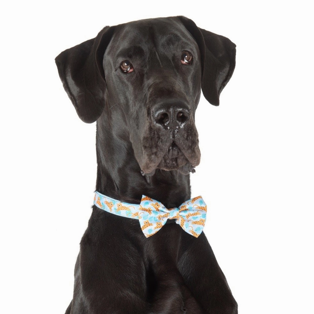 Big & Little Dogs Go Get Em' Tiger Collar & Bow Tie