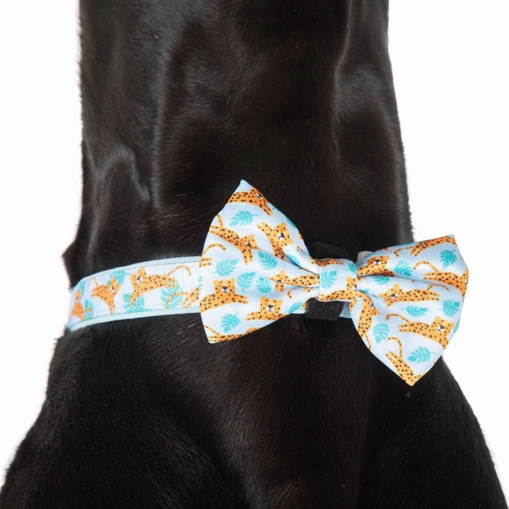 Big & Little Dogs Go Get Em' Tiger Collar & Bow Tie