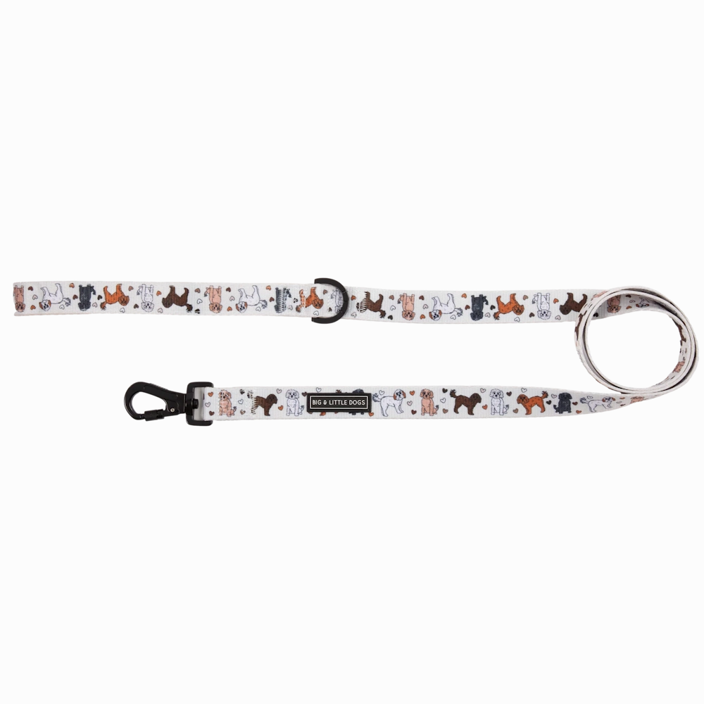 Big & Little Dogs Leash: Oodles of Love