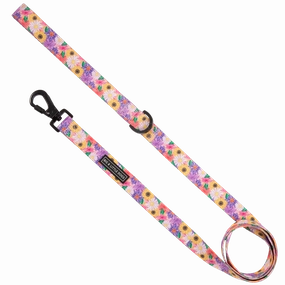 Big & Little Dogs Leash: Spring Fling