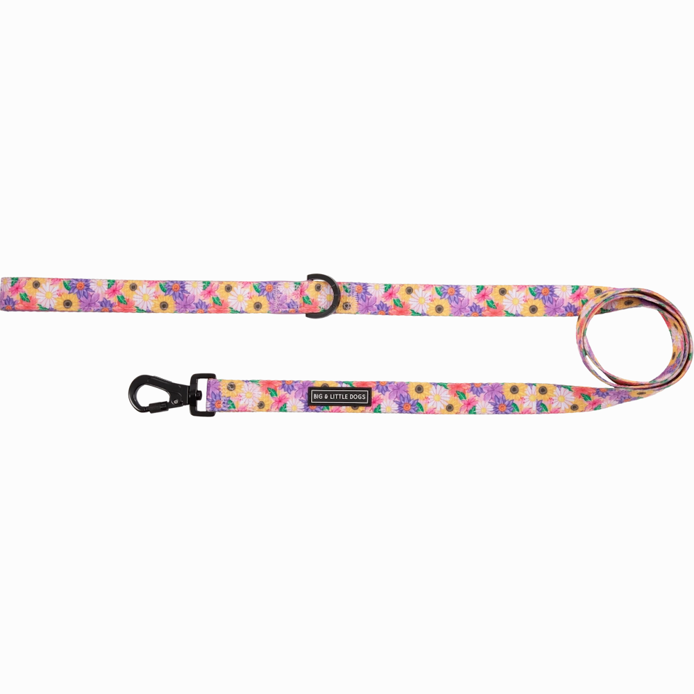 Big & Little Dogs Leash: Spring Fling