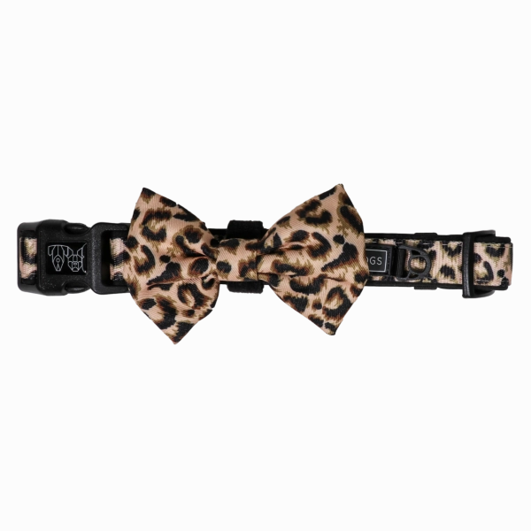 Big & Little Dogs Luxurious Leopard Collar & Bow Tie