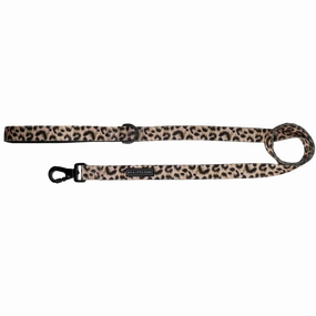 Big & Little Dogs Luxurious Leopard Dog Leash