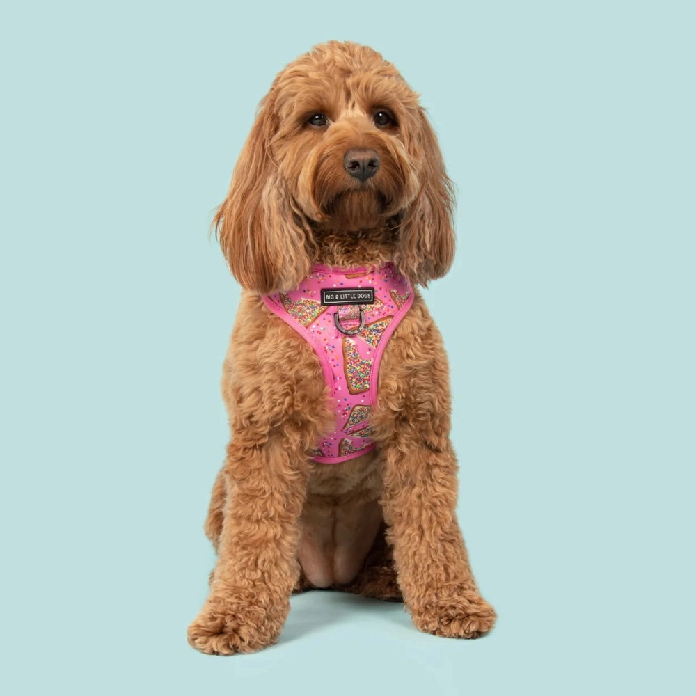 Big & Little Dogs Pink Fairy Bread Adjustable Harness