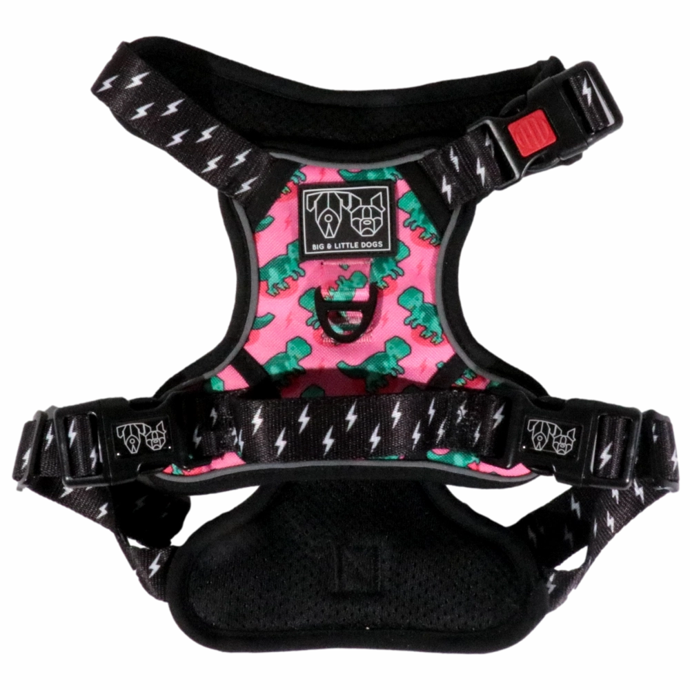 Big & Little Dogs Princess-asaurus All Rounder Harness