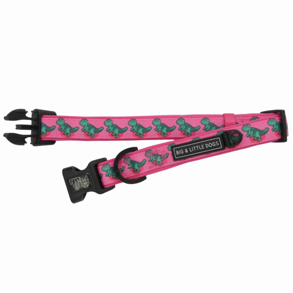 Big & Little Dogs Princess-asaurus Collar & Bow Tie