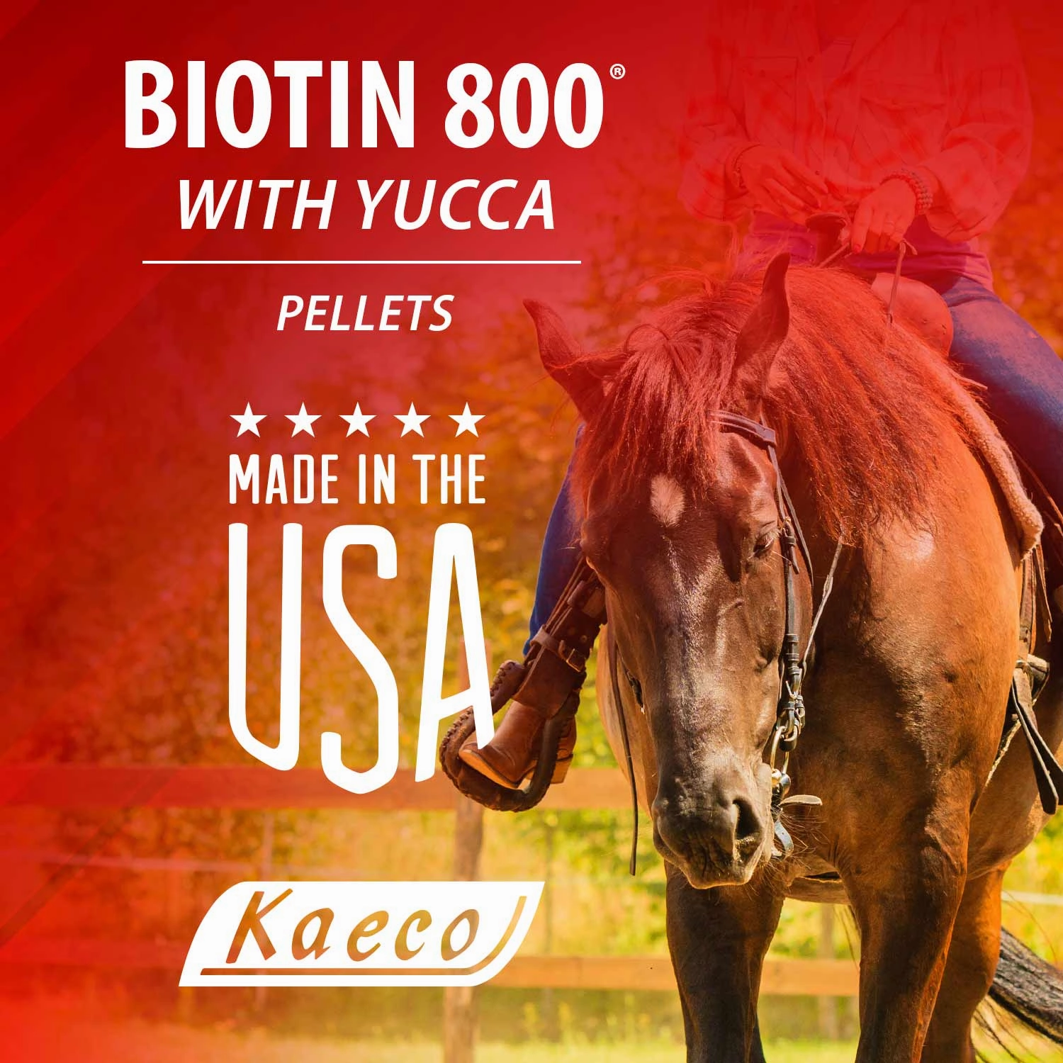 Biotin 800 Pellets Equine Supplement