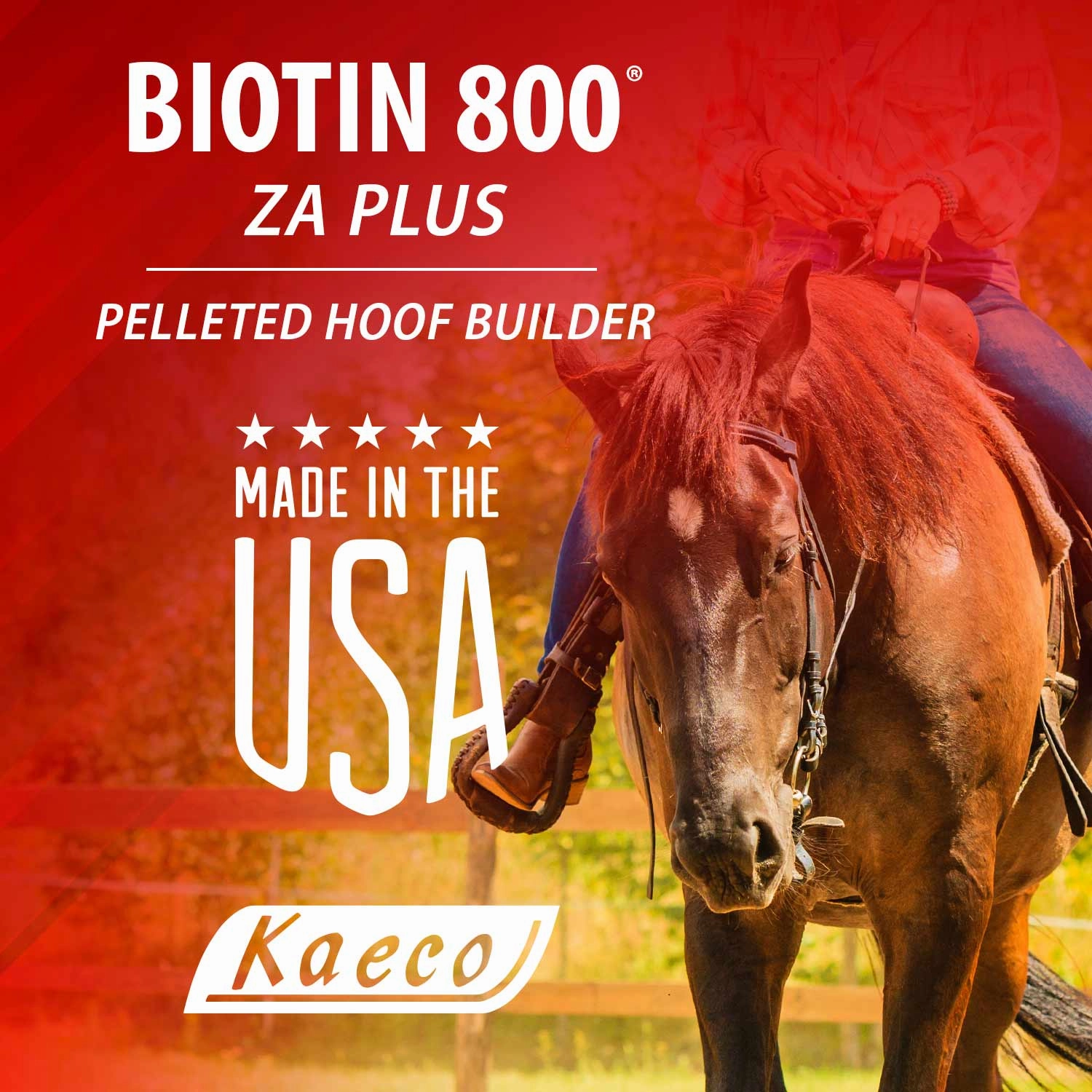 Biotin 800 ZA Plus