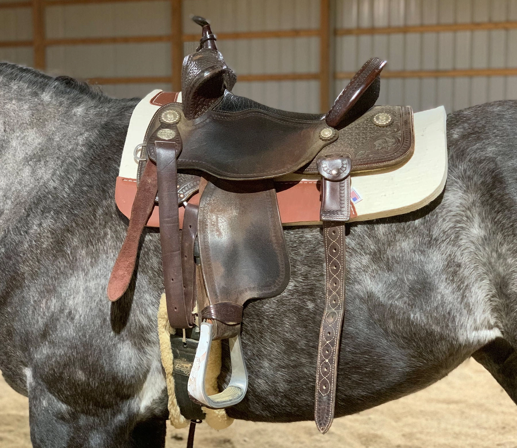 Blue Horse 100% Pressed Wool Contoured Saddle Pad
