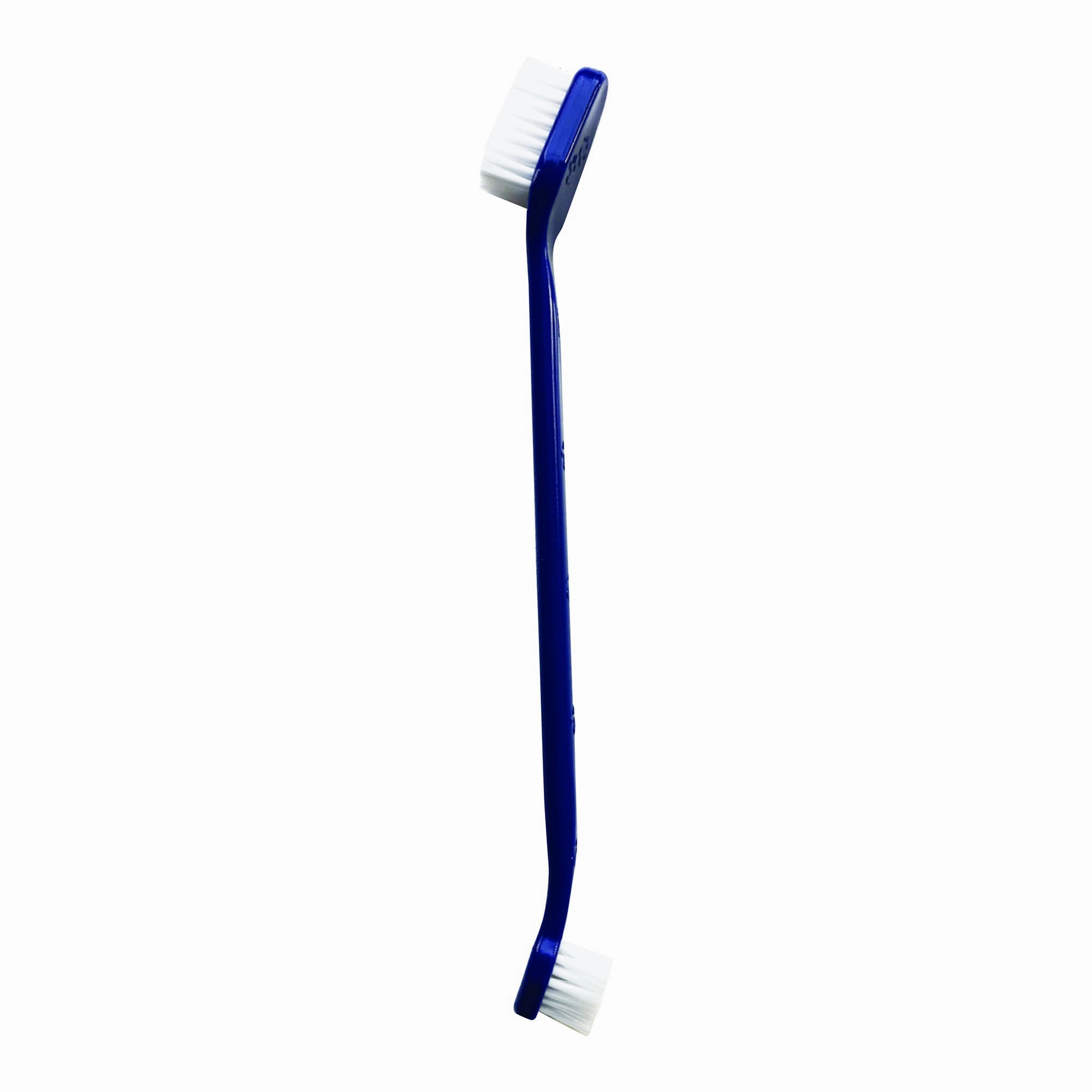 bluestem Toothbrushes, 2 pk